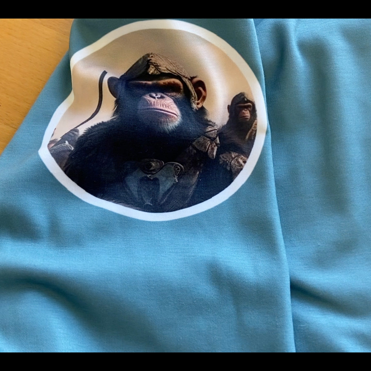 Planet of the Apes hoodie arm detail