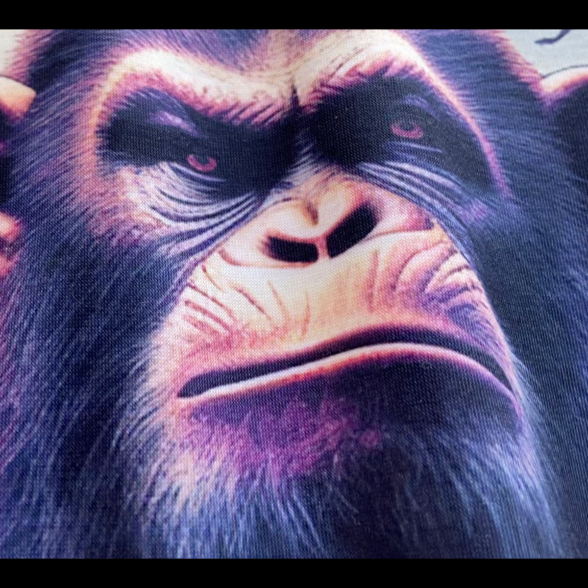 Planet of the Apes hoodie close up artwork